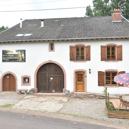 Serendipity For All Apartments Saint-Die-des-Vosges Extérieur photo