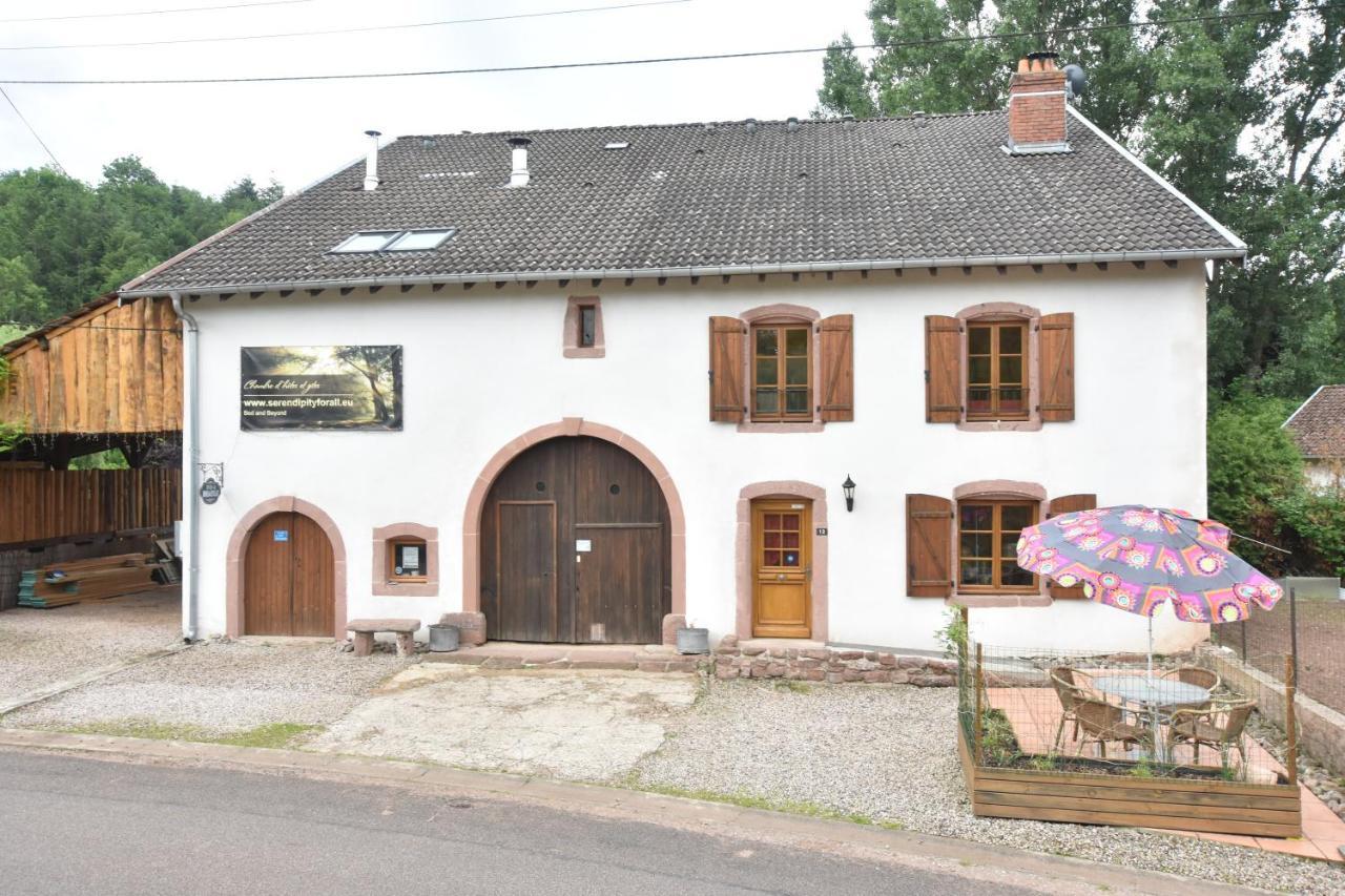 Serendipity For All Apartments Saint-Die-des-Vosges Extérieur photo